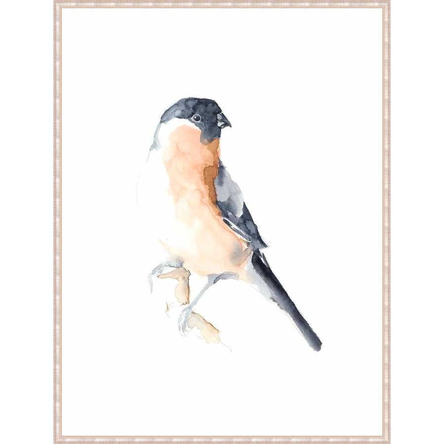 WATERCOLOR SONGBIRDS V - Kings Fine Art & Decor