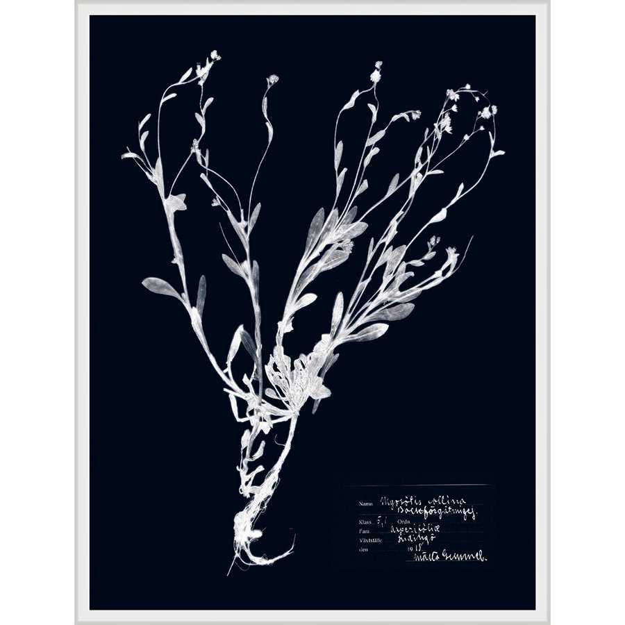 IMPRESSIONS ON INDIGO II - Kings Fine Art & Decor