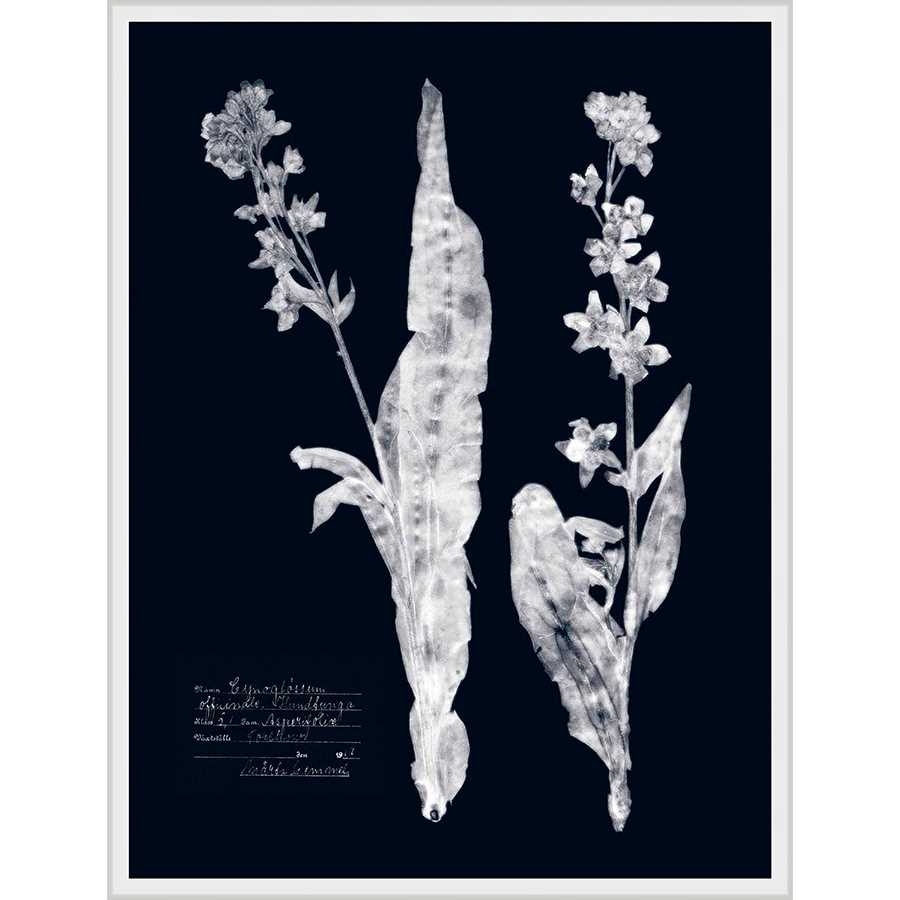 IMPRESSIONS ON INDIGO IV - Kings Fine Art & Decor