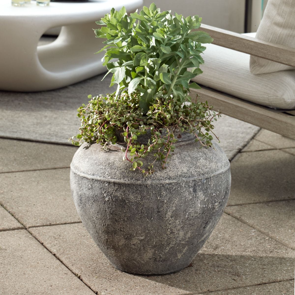 Echoes of Time Outdoor Planter