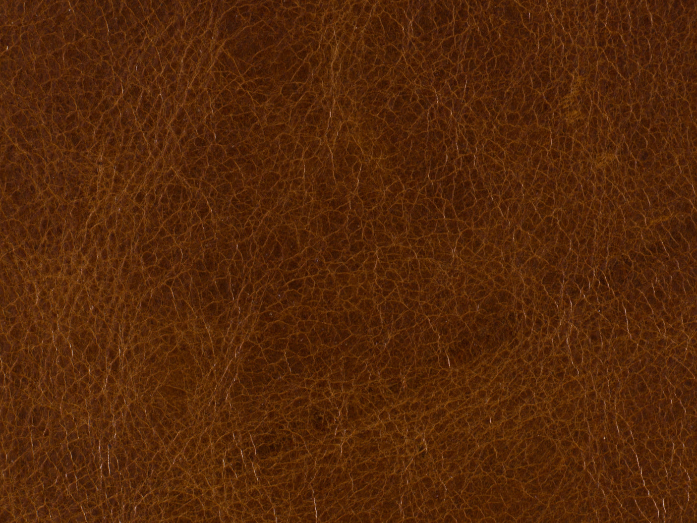 Hooker Furniture Shasta Recliner RC127-085