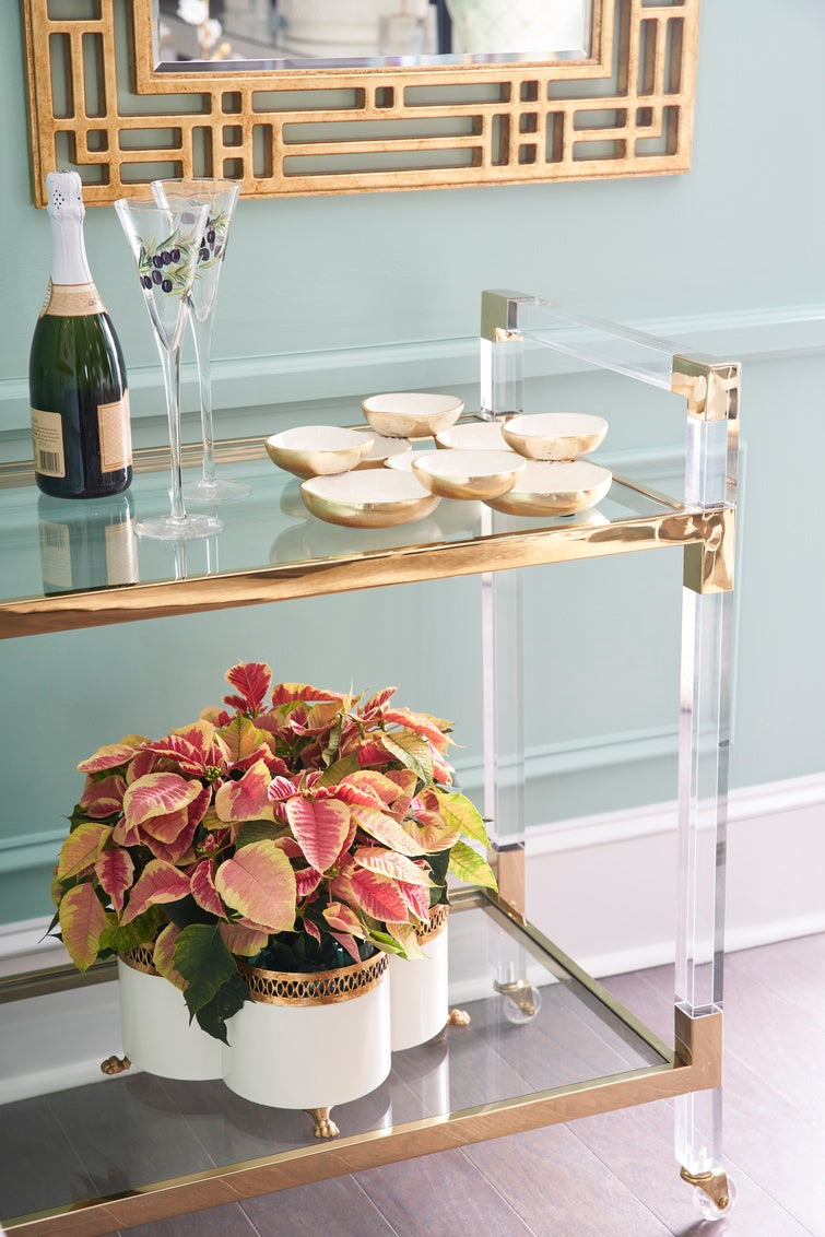 Multidimensional Tray