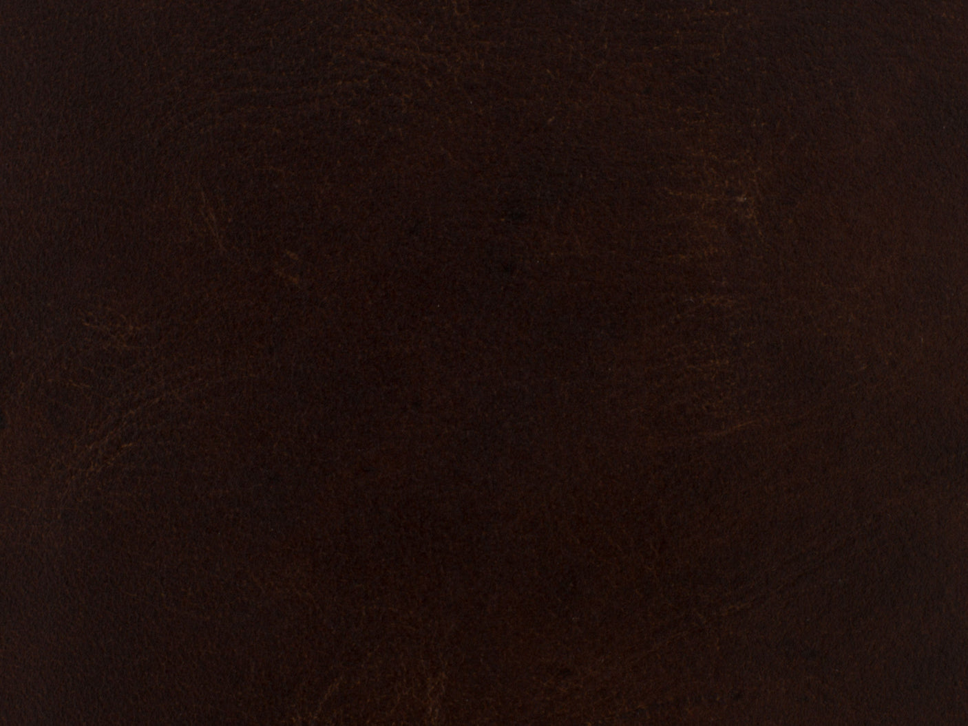 Hooker Furniture Maya Wing Club Chair CC513-089