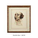 Danchin Cocker Spaniel