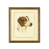 Danchin Brittany Spaniel