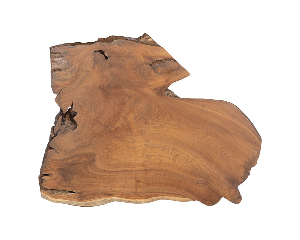 wyatt-coffee-table-102222 - view 11