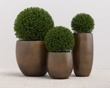 aster-planter-tall-111143 - view 8