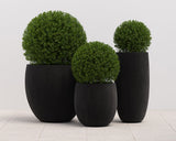 coleus-planter-tall-111144 - view 9