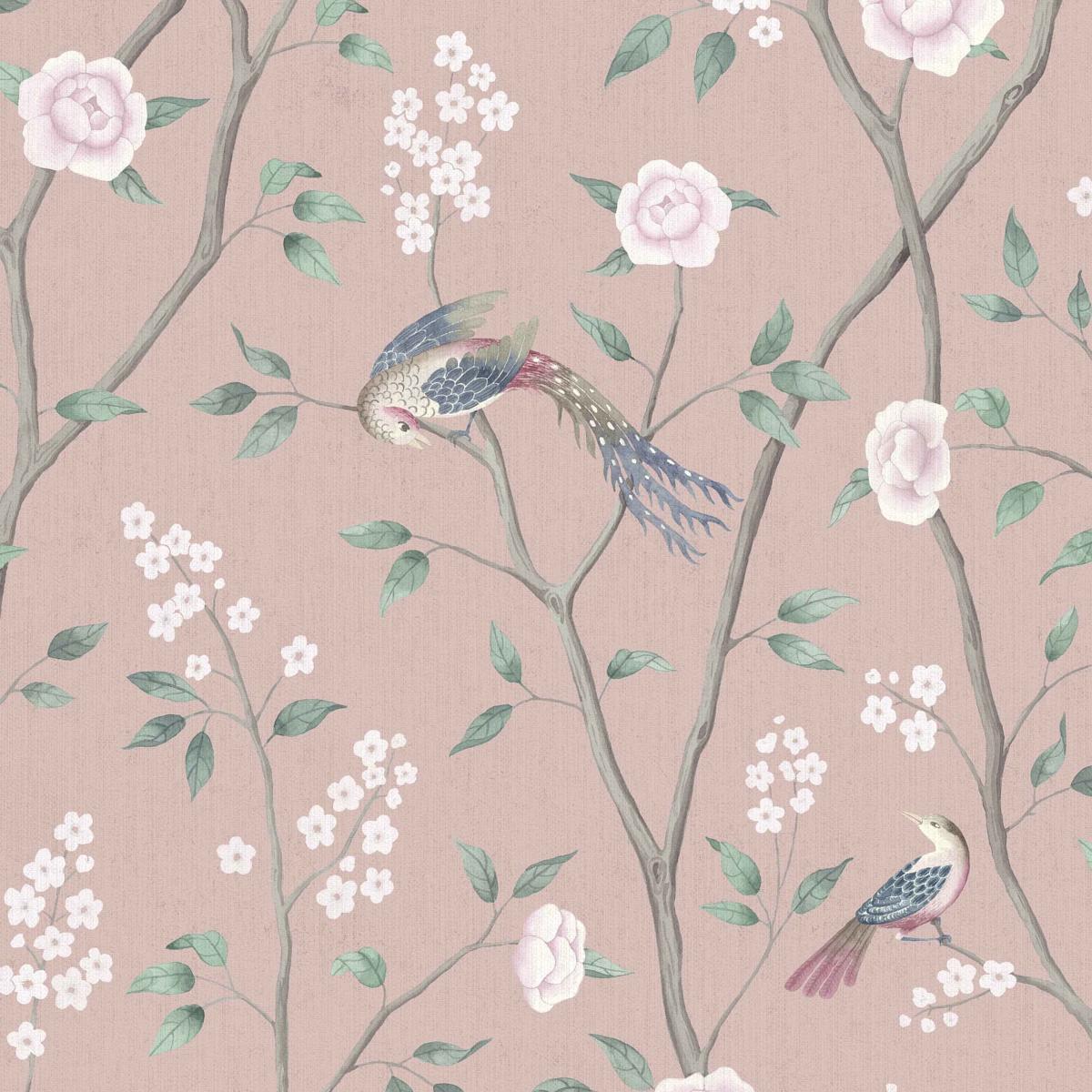 paradise-birds-1901