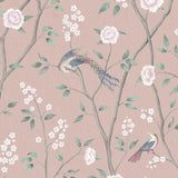 paradise-birds-1901