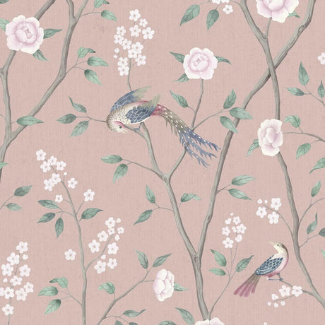 paradise-birds-1901
