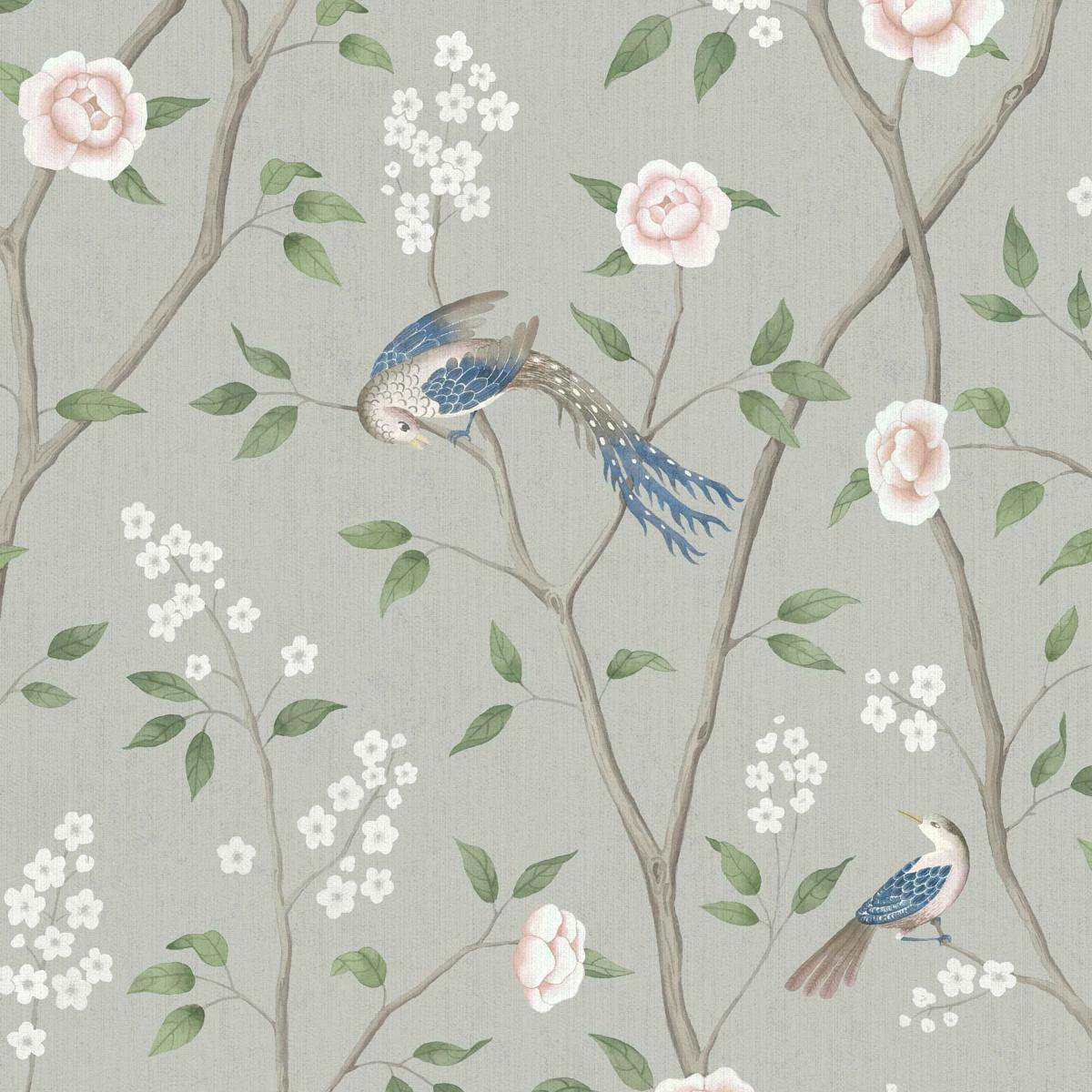 paradise-birds-1903