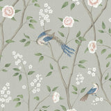 paradise-birds-1903