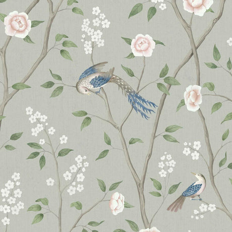 paradise-birds-1903