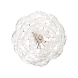 Shell Chandelier