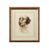 Danchin Setter