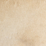 Villa Dining Chair - Kings Fine Art & Decor