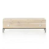 Trey Trunk - Kings Fine Art & Decor