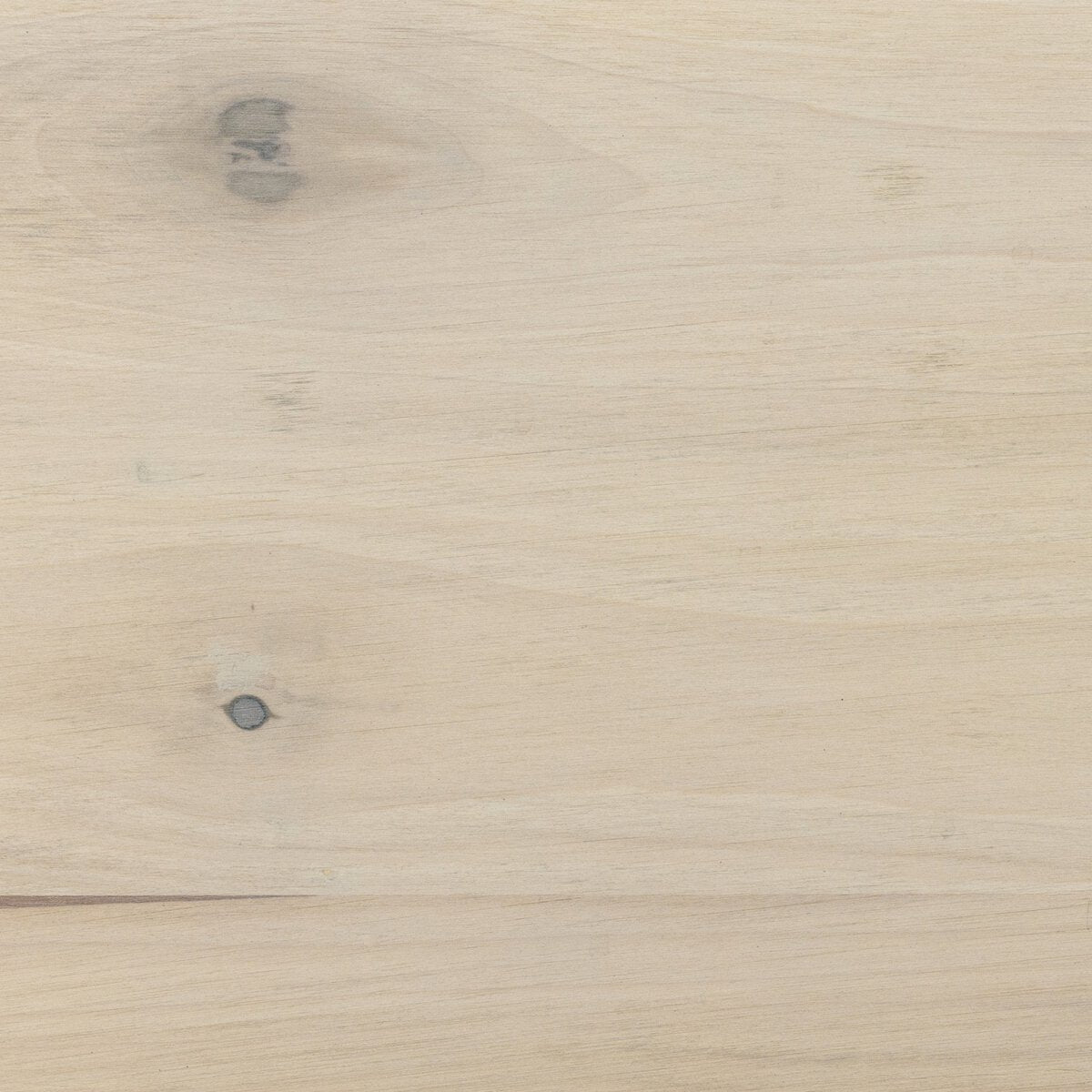 Trey Trunk - Kings Fine Art & Decor