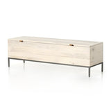 Trey Trunk - Kings Fine Art & Decor