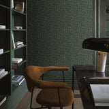 wild-ferns-2258-2