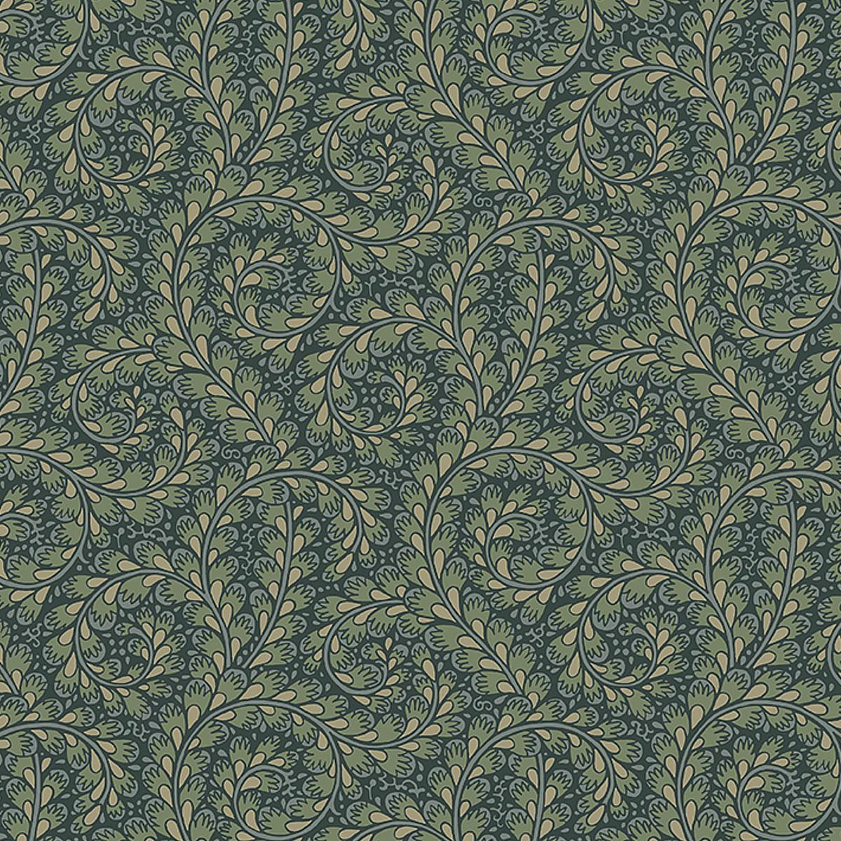 wild-ferns-2258