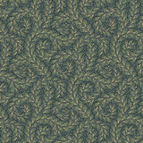 wild-ferns-2258