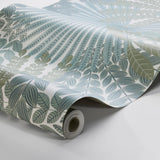 velvet-leaves-2262-1
