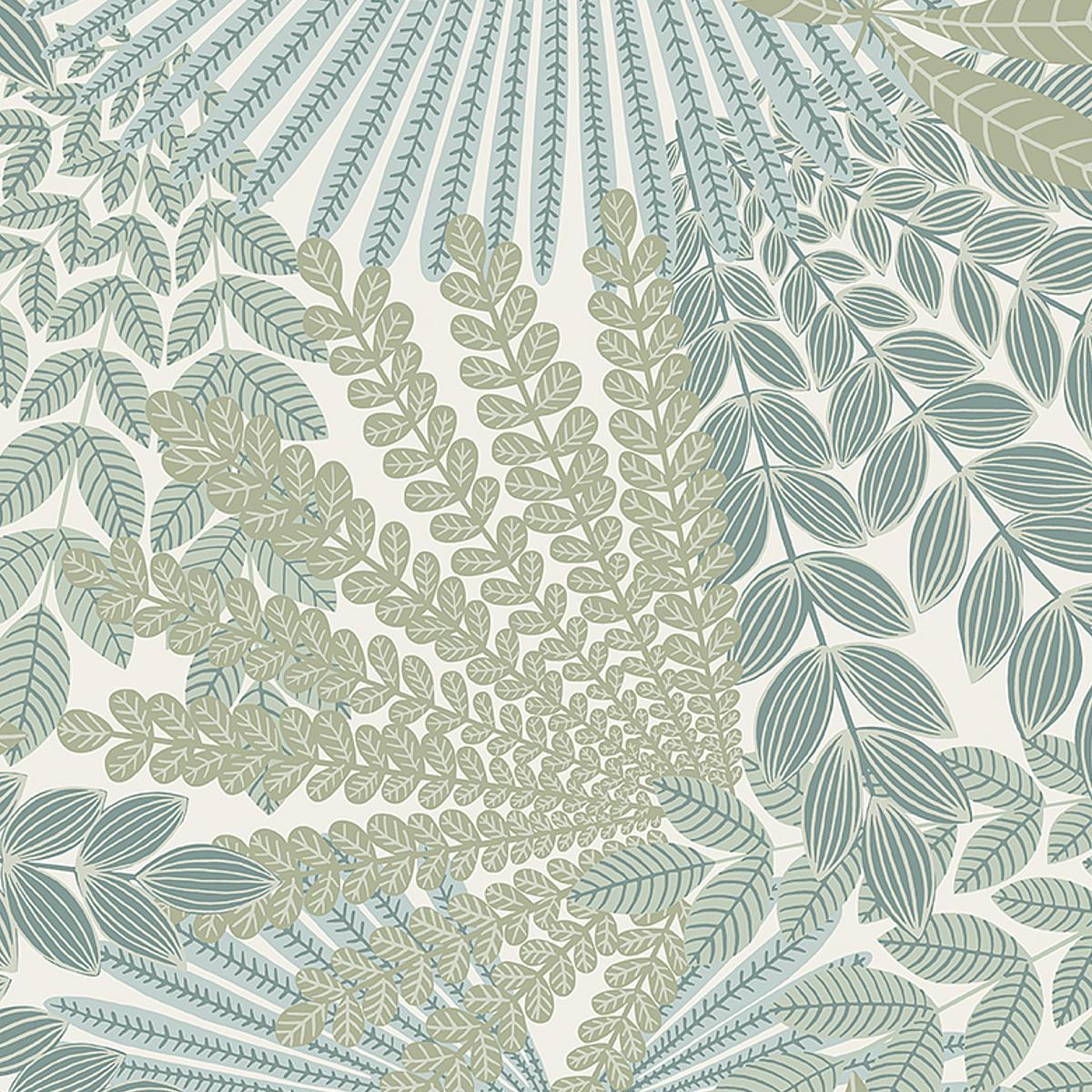 velvet-leaves-2262