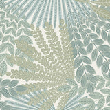 velvet-leaves-2262
