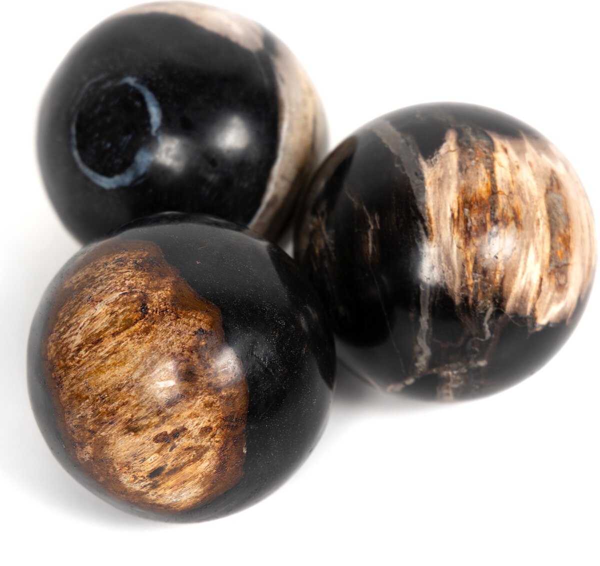 Petrified Wood Balls, Set Of 3 - Kings Fine Art & Decor