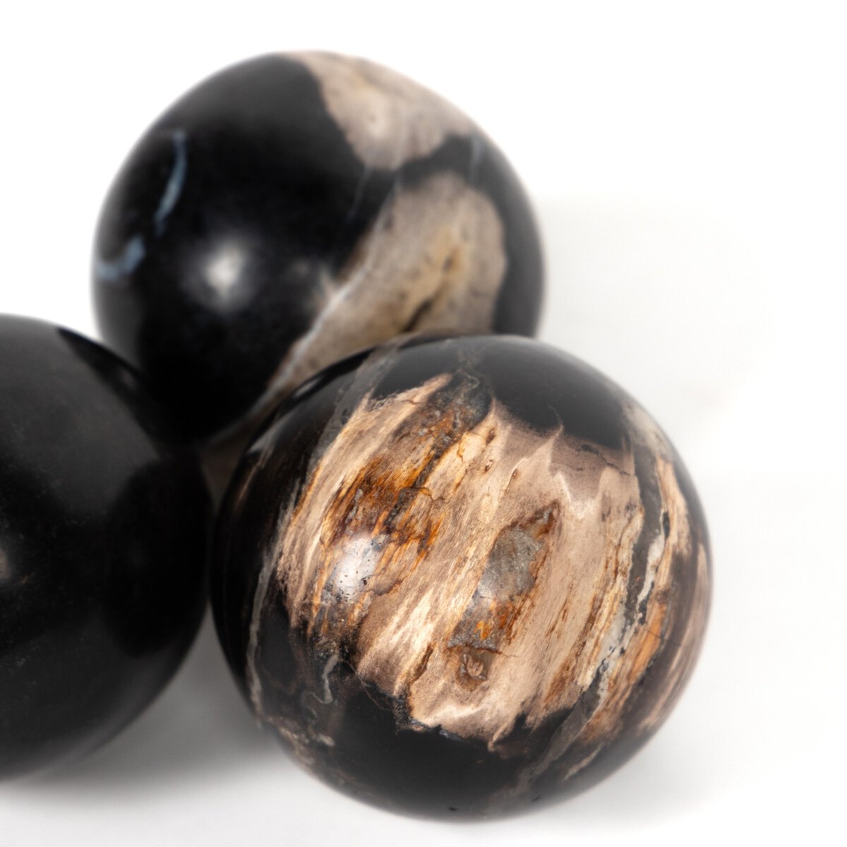 Petrified Wood Balls, Set Of 3 - Kings Fine Art & Decor