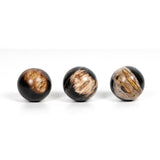 Petrified Wood Balls, Set Of 3 - Kings Fine Art & Decor