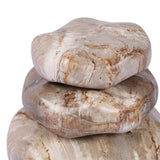 Petrified Wood Organic Sculpture, Set Of 3 - Kings Fine Art & Decor