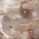 Petrified Wood Organic Sculpture, Set Of 3 - Kings Fine Art & Decor