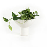 Pressler Outdoor Planter, Set Of 2 - Kings Fine Art & Decor