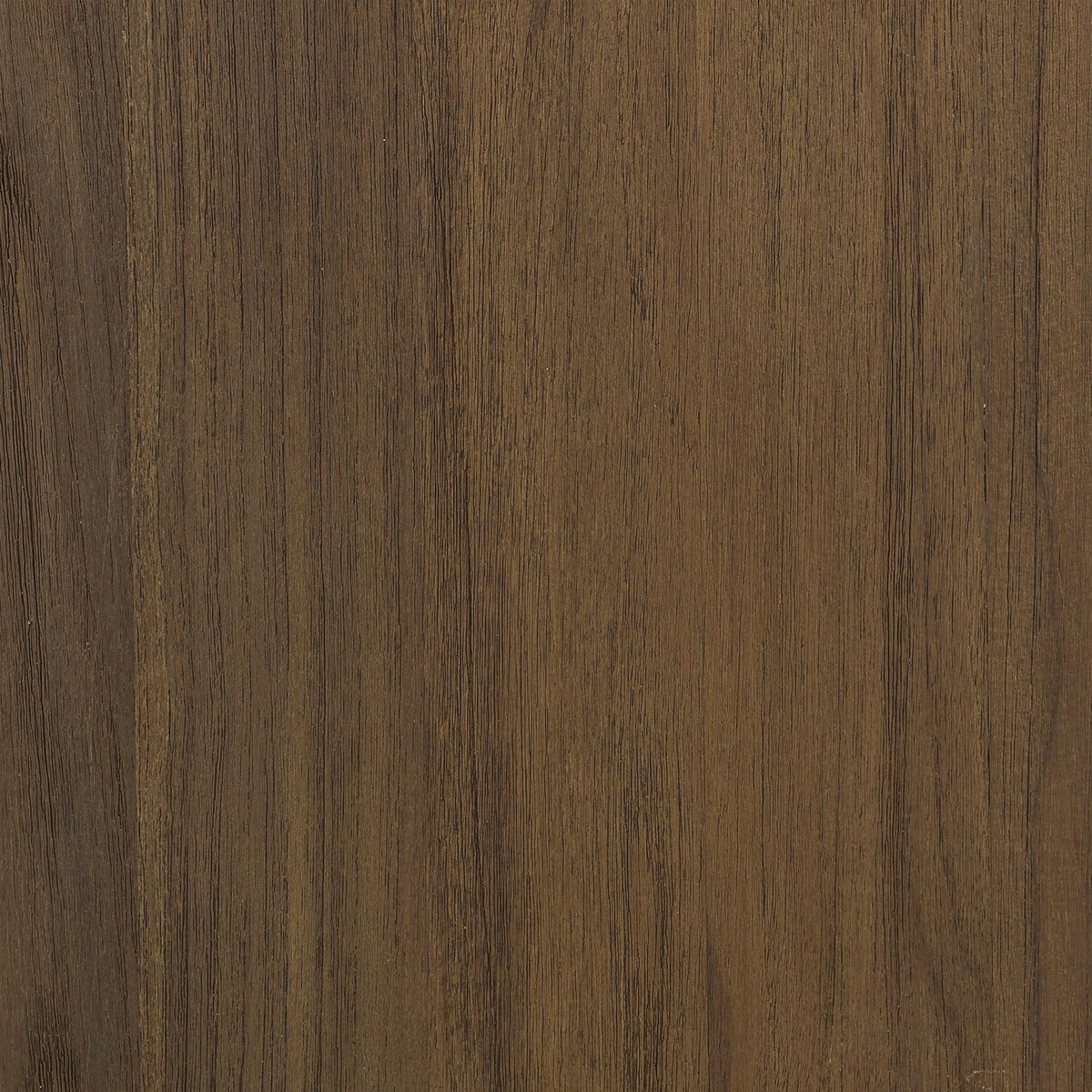 Tahana Outdoor Chair - Kings Fine Art & Decor