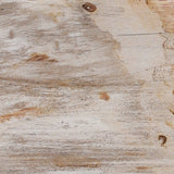 Petrified Wood Knot - Kings Fine Art & Decor