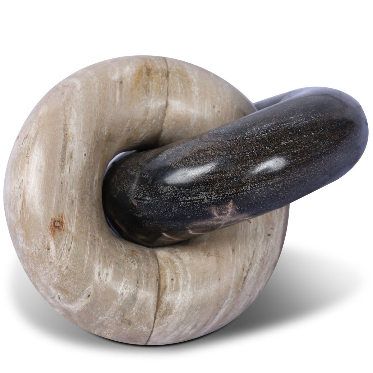 Petrified Wood Knot - Kings Fine Art & Decor