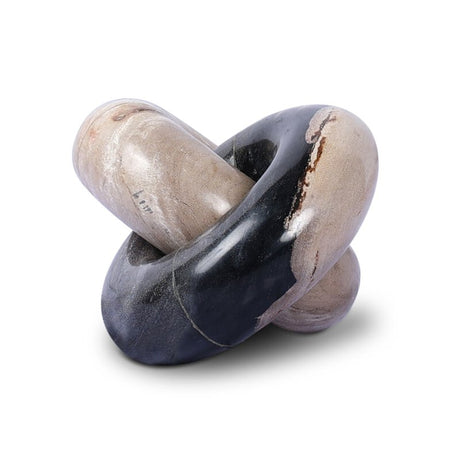 Petrified Wood Knot - Kings Fine Art & Decor