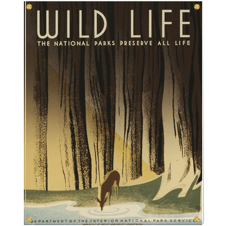 Forest Life Preserve