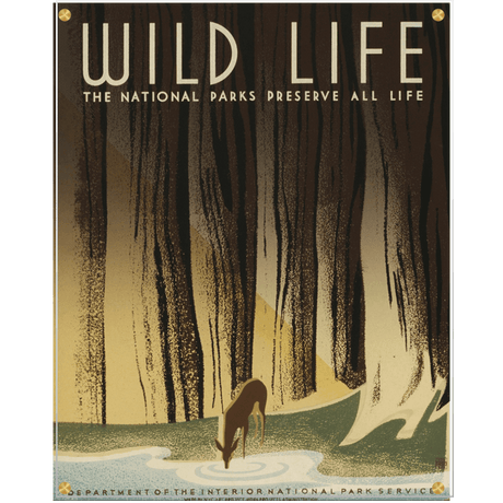 Forest Life Preserve