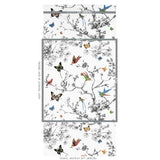 birds-&-butterflies-2704420-1