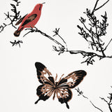 birds-&-butterflies-2704420-2