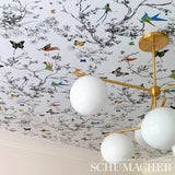 birds-&-butterflies-2704420-5