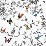 birds-&-butterflies-2704420