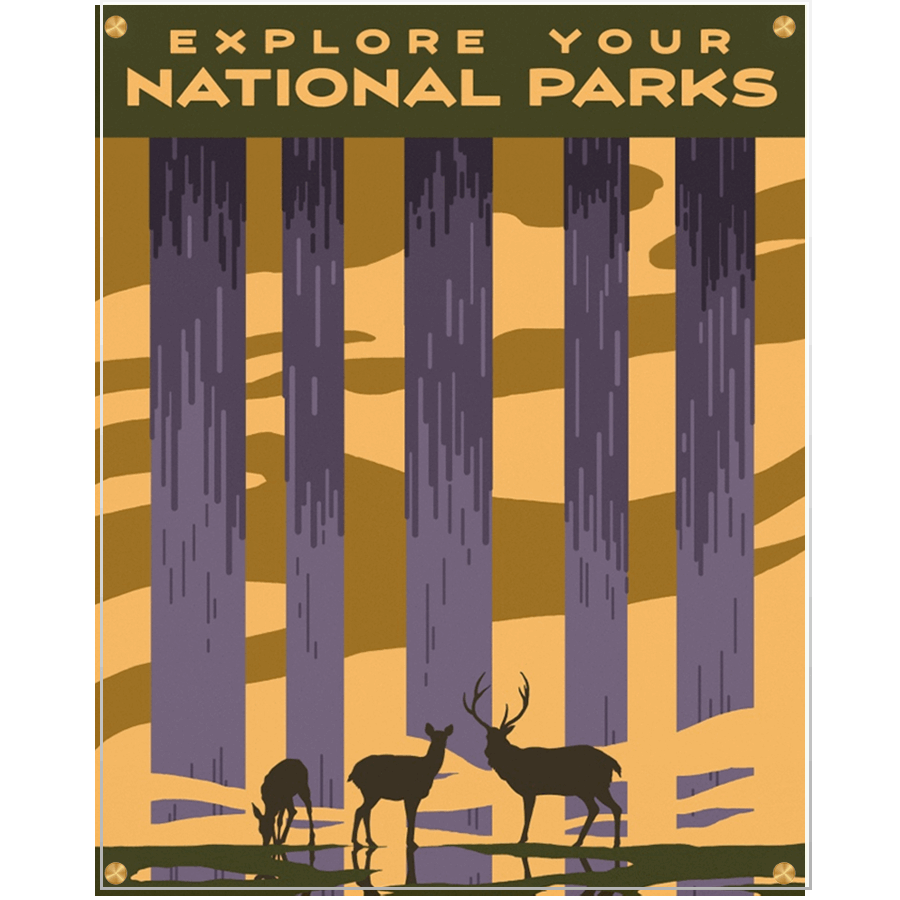 National Park Dreams