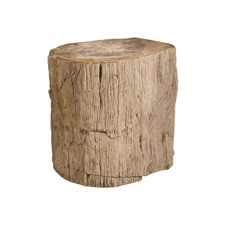PETRIFIED ACCENT TABLE