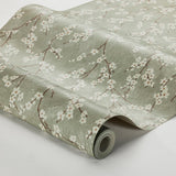 alice-3978-1