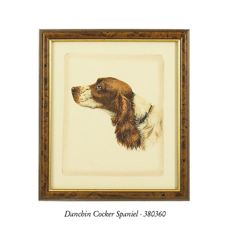 Danchin Brittany Spaniel